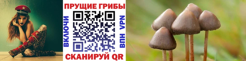 Псилоцибиновые грибы Psilocybine cubensis  Невьянск 